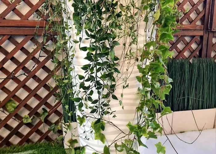 Home4you Daire Krakow